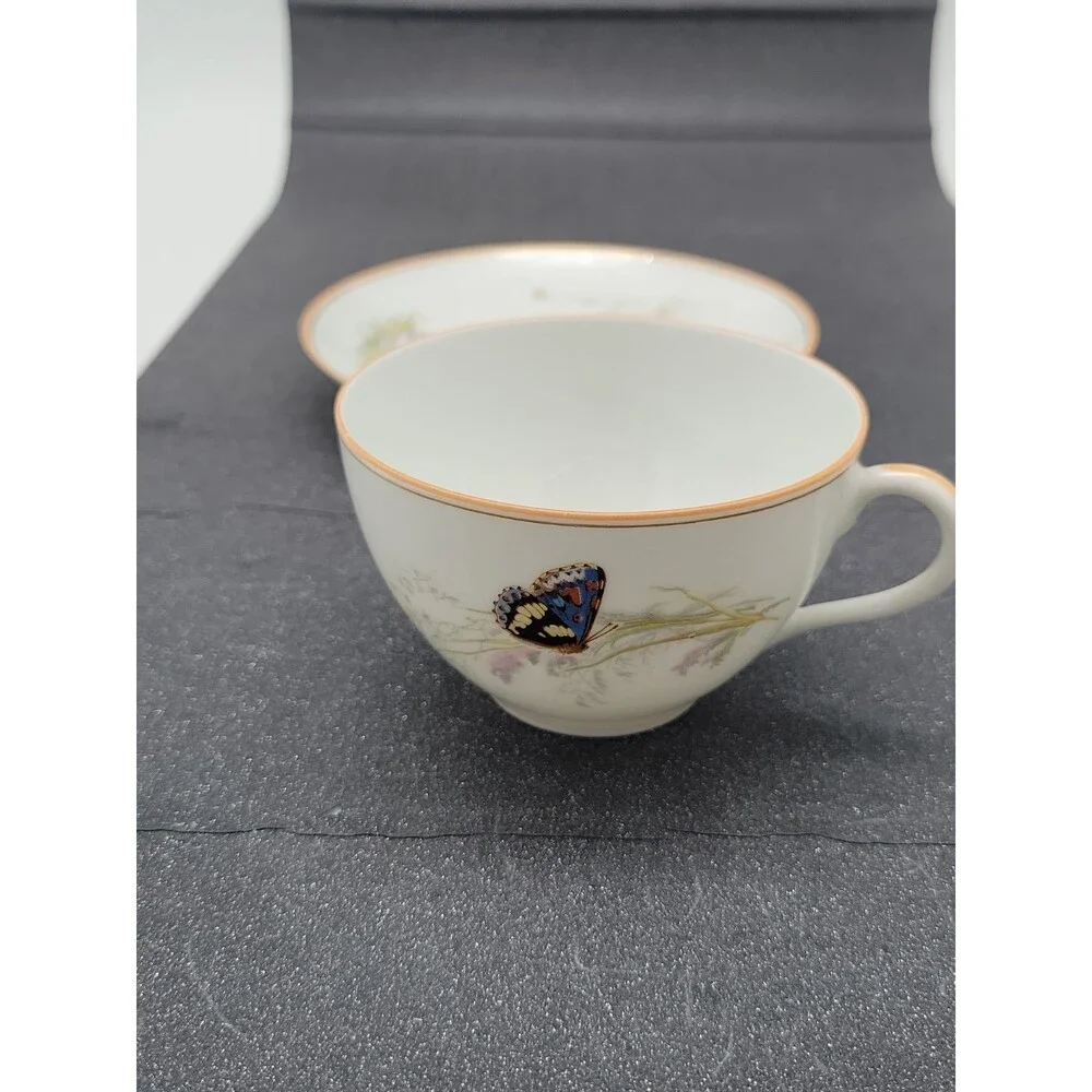READ 2 ? Haviland Limoges ? Meadow Visitors Cup/Saucer Butterflies/Grasses